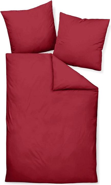 Image du produit Traumschlaf Université (Set de linge de lit, 160x210 cm + 65x100 cm)