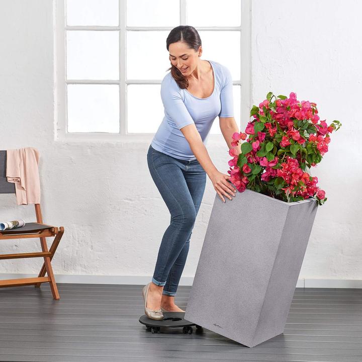 Image du produit Lechuza Canto Stone (40 cm)