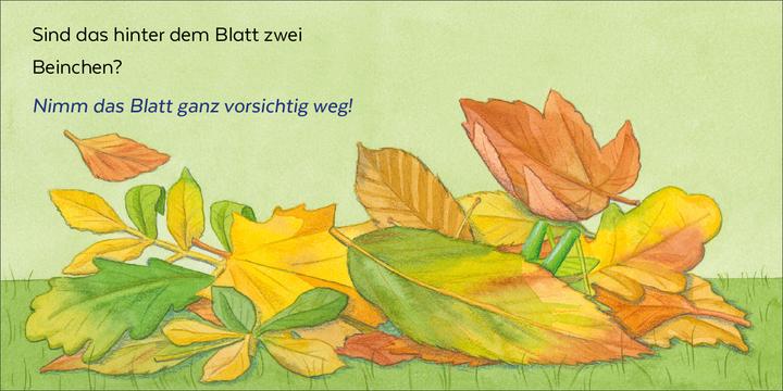 Produktbild Brosche:Wer hat sich denn hier versteck (Deutsch, Heidemarie Brosche, Mele Brink, 2025)