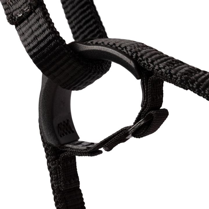 Image du produit Mammut Harnais d'escalade Comfort Fast Adjust (L)