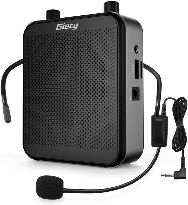 Giecy Amplificatore vocale, portatile, 30W