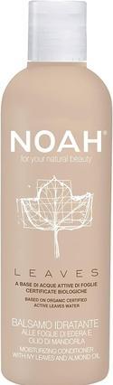 Image du produit Salvatore Ferragamo NOAH Leaves Conditionneur hydratant aux feuilles de lierre et à l'huile d'amande 250ml (250 ml)