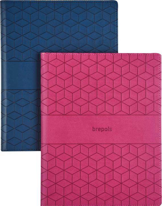 Actual product image Brepols Agenda Timing Cube 2025 26.3.1482 1W/2S ass. ML 17x22cm (17 x 22 cm, Dutch)