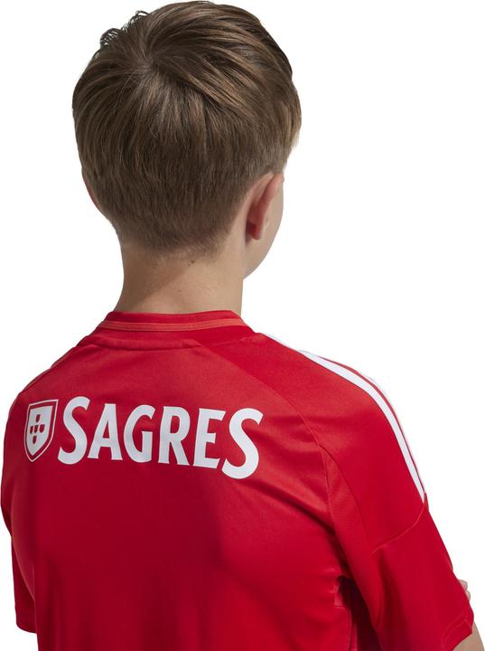 Actual product image adidas Benfica Lissabon Kinder Trikot (140)
