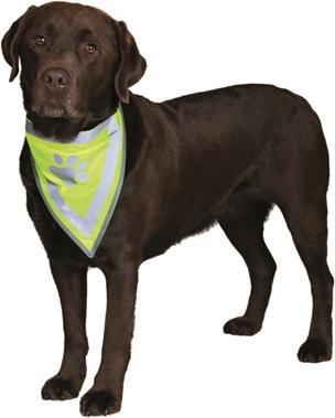 Actual product image Trixie Safer Life bandana (XS, S, Dog bandana)