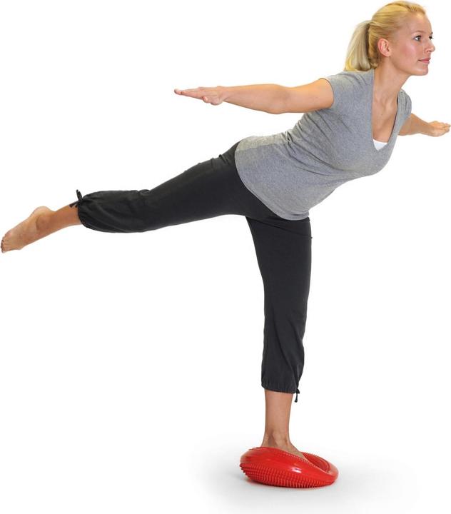 Actual product image Sissel Balancefit