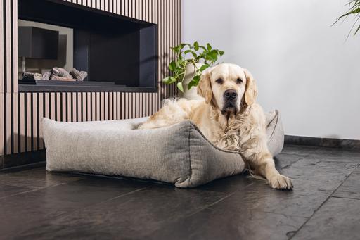 Actual product image Beeztees Zia (Dog)