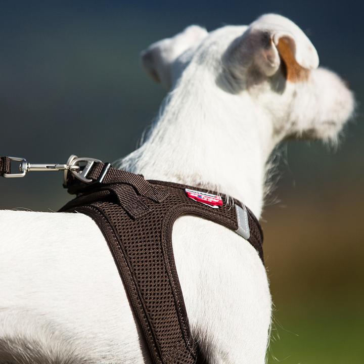 Produktbild Curli Geschirr Vest Air-Mesh M, Moss (M, Hund, Allgemein)