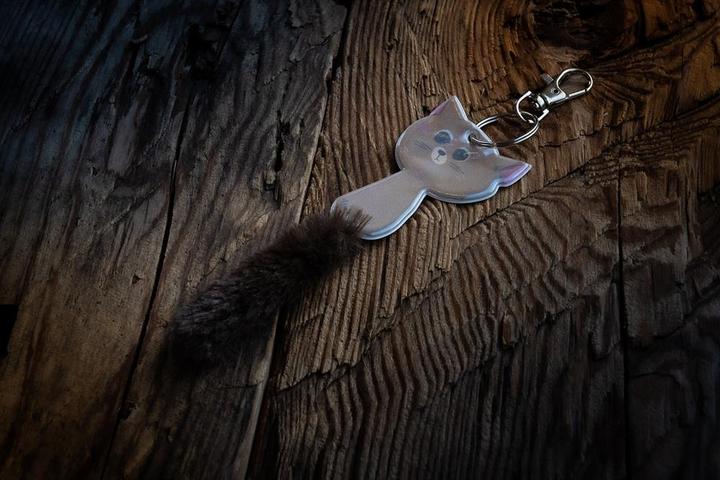 Produktbild Softreflector Anhänger Reflektor Katze Albert
