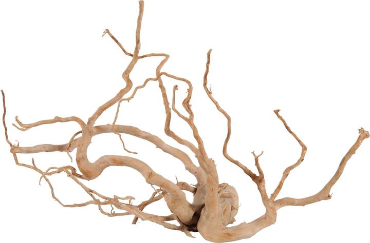 Produktbild Zolux japanese root spider wood jumbo (Wurzeln, sonstige Gegenstände)