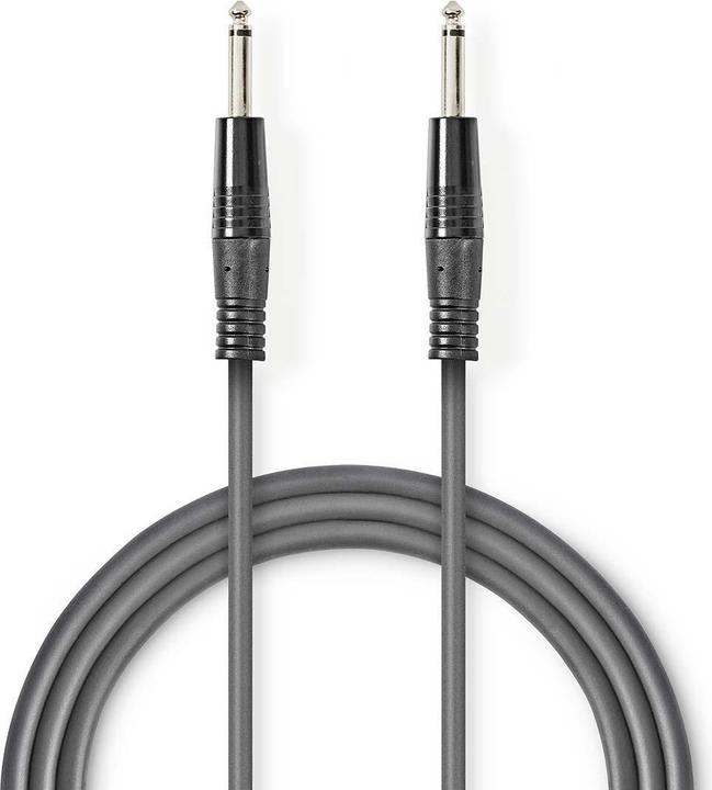 Nedis Câble audio mono | 6,35 mm mâle | 6,35 mm mâle | Nickelé | 1,50 m | rond | PVC (1.50 m)