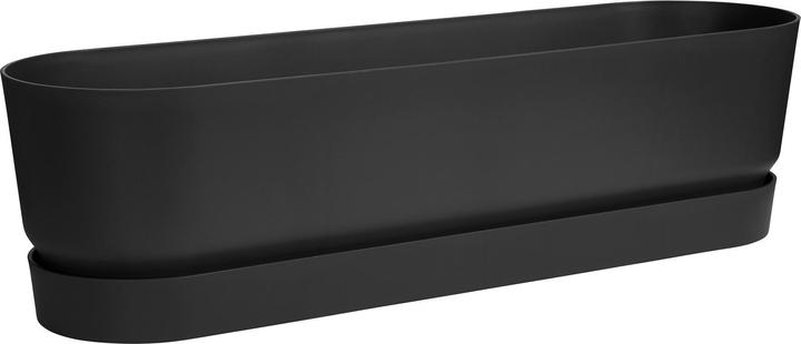 Nero vivo