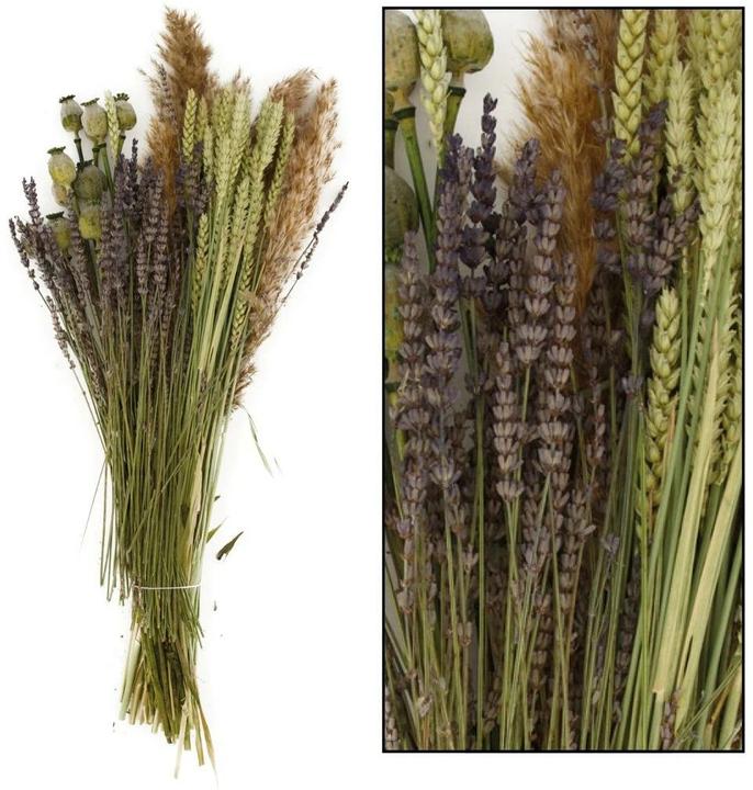 Produktbild Chalet Trockenblumen Mix 1 Stück, Grün (Trockenblumen)