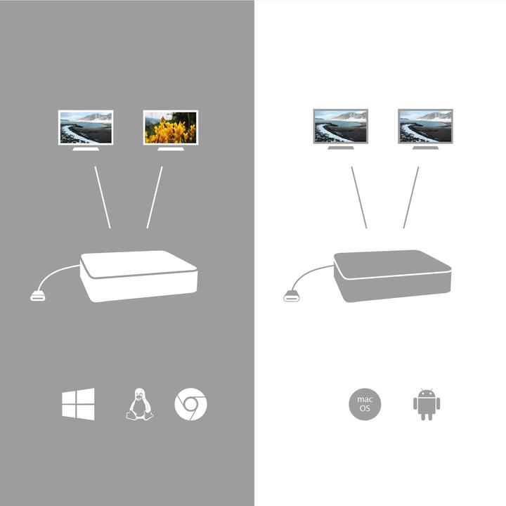 Actual product image i-tec USB C to (DP, 7 cm)