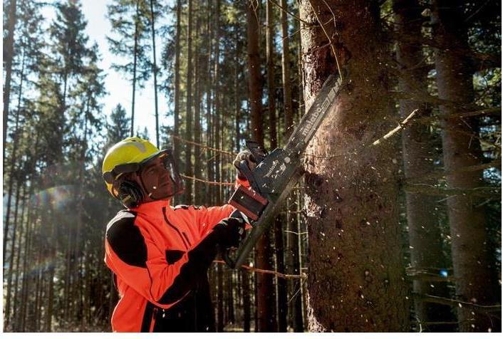 Actual product image Metabo MS 36-18 LTX BL 40 (Battery chain saw)