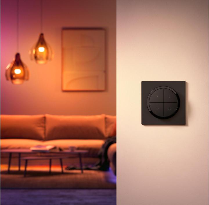 Actual product image Philips Hue Tap dial switch