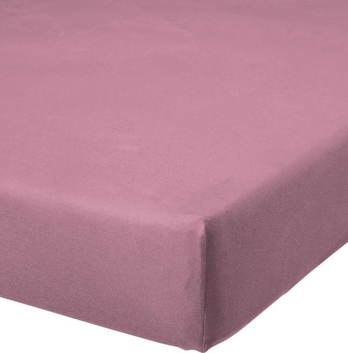 Malva