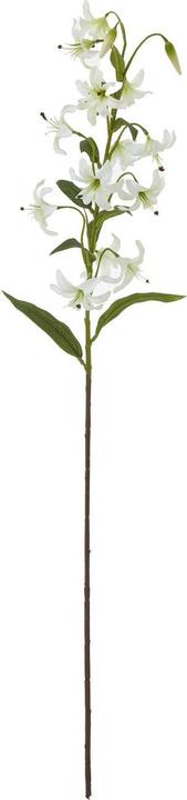 Immagine prodotto Hill Interiors Spray di Giglio di Turk's Cap Fiore Artificiale (82 cm)