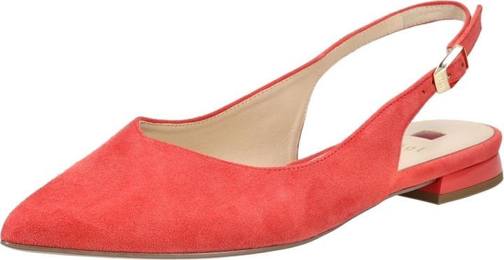 Actual product image Högl Ballerinas (42)