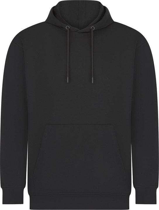 Super Flying Model Adult Sustainable Hoodie