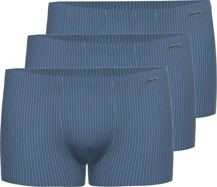 Produktbild Ammann 3er Pack Smart & Stripes Retro Short / Pant (L, 3er Pack)