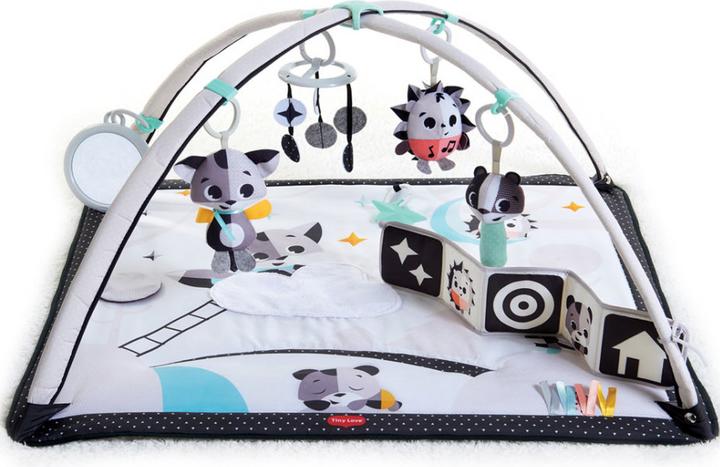 Productafbeelding Tiny Love Boho Chic Luxe Ontwikkelings Gymini