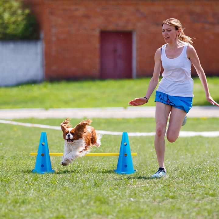 Produktbild Relaxdays 18-tlg. Steckhürdenset (Agility)