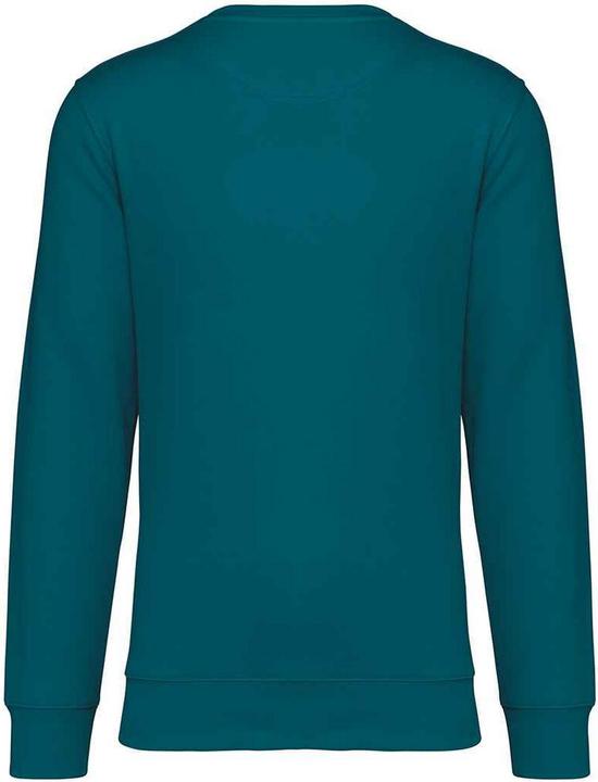 Actual product image Native Spirit Unisex Adult Crew Neck Sweatshirt (XXL)
