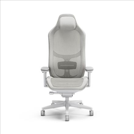 Actual product image Fractal Gaming chair Refine Mesh Light (shipping)