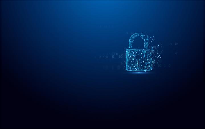 Actual product image Kingston IronKey Vault Privacy 50 (64 GB, USB-A, USB 3.2)