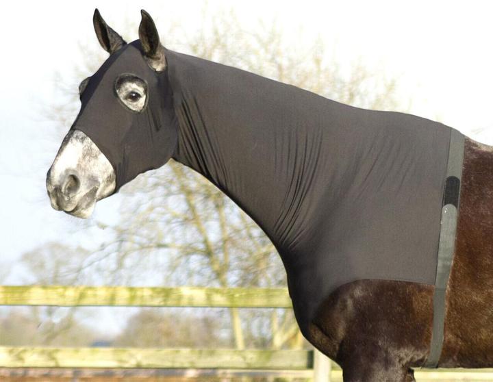 Actual product image Qhp Stretch horse neck cover