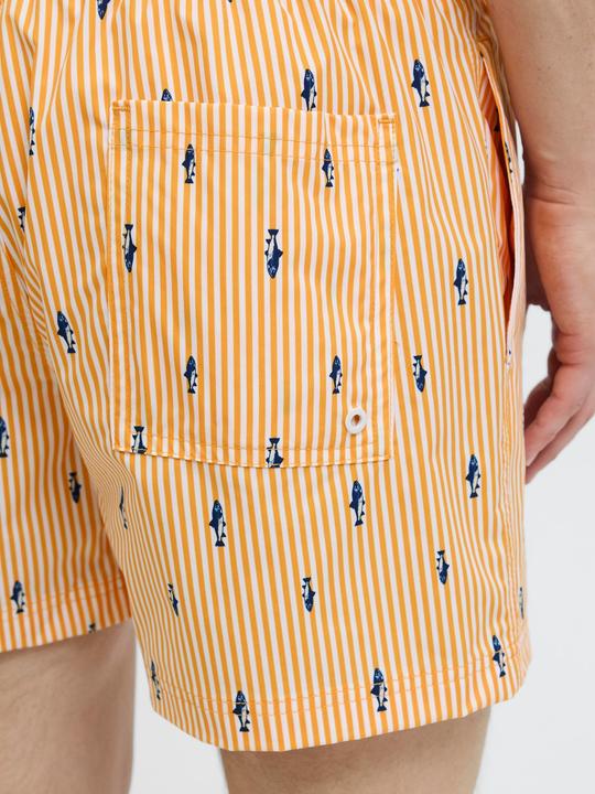 Actual product image Jack & Jones Regular Fit Badeshorts Badeshorts (XS)