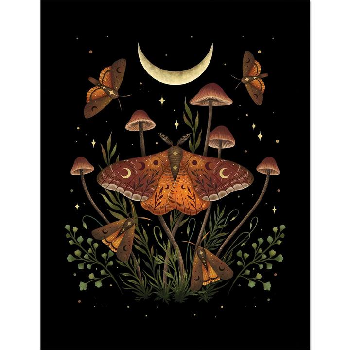 Immagine prodotto Episodic Drawing Autumn Light Underwings Poster Incorniciato (45 x 35 cm)