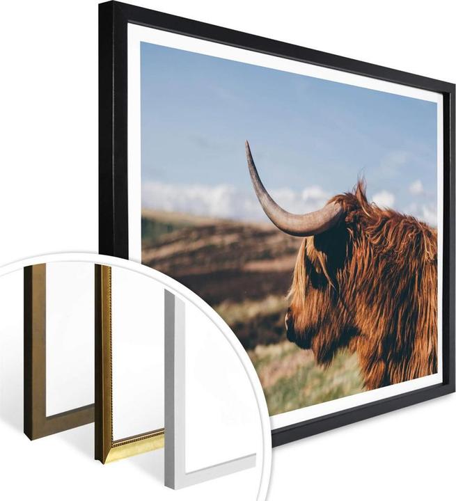 Produktbild Trenddeko Highland Cow 02 (40 x 30 cm)