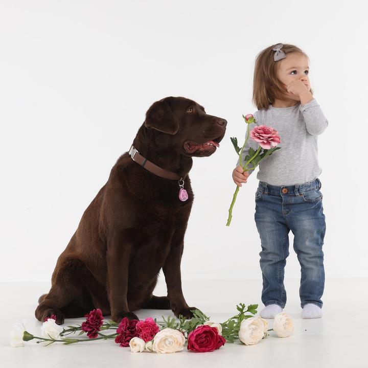 Produktbild Tickless Pet (Hund, Katze)