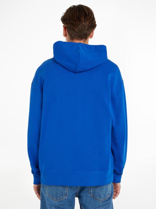 Actual product image Tommy Jeans Tjm Rlx Badge Zipthru (52)