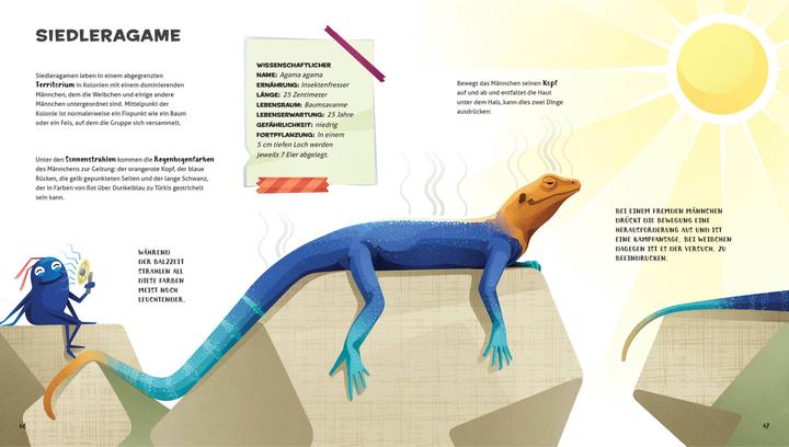 Immagine prodotto National Geographic Besonders und wunderbar: Reptilien (Tedesco, Cristina Banfi, Claudia Theis-Passaro, 2021)