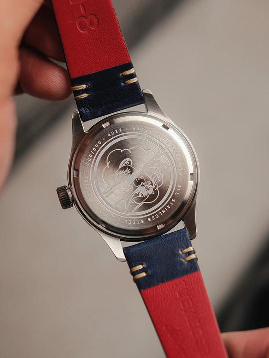 Actual product image AVI-8 AV-4103-03 Tuskegee Airmen Limited Edition Men's Watch 40mm 5ATM (Pilot watch, 40 mm)