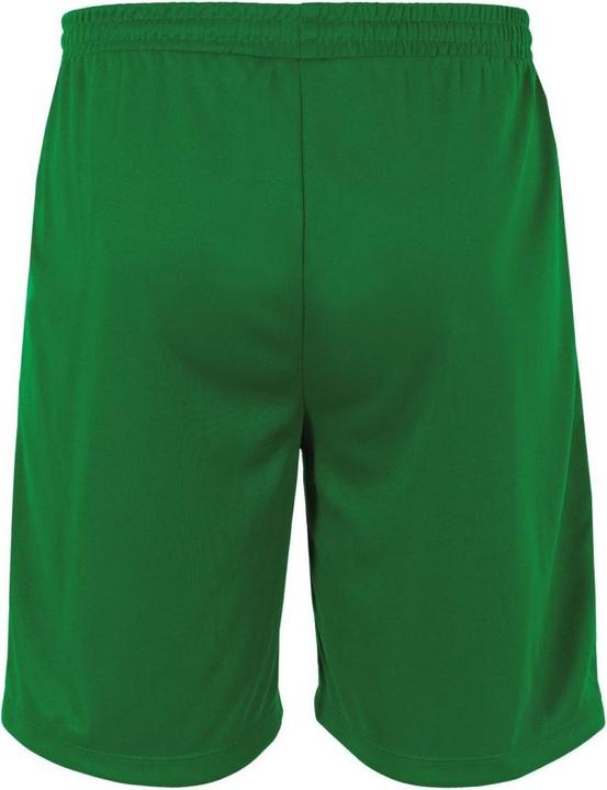 Actual product image Stanno Club Pro Shorts (L)