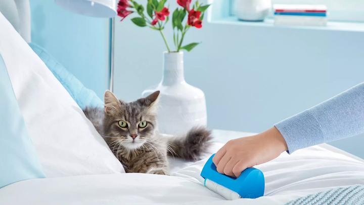 Produktbild tesa Tierhaar-Roller