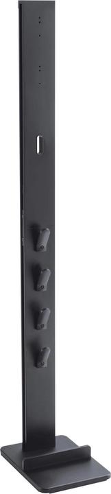 Actual product image PureMounts Vacuum Cleaner Stand for Dyson, Black
