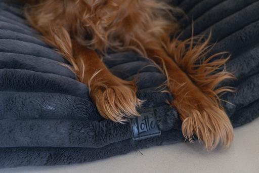 Actual product image Designed by Lotte Reza reclining cushion (Dog)