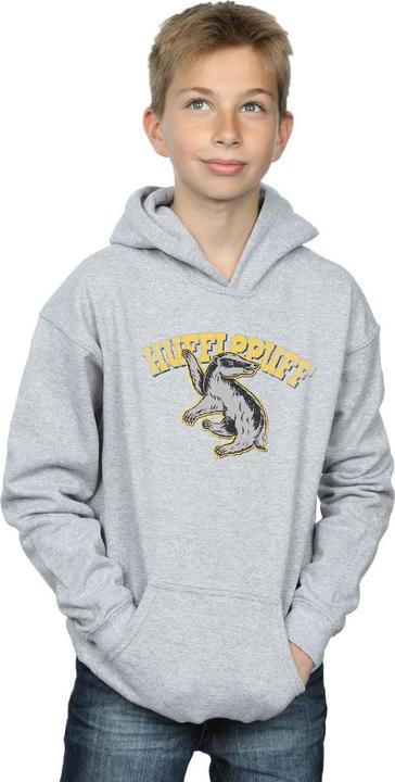 Produktbild Kapuzenpullover Jungen (140, 146)
