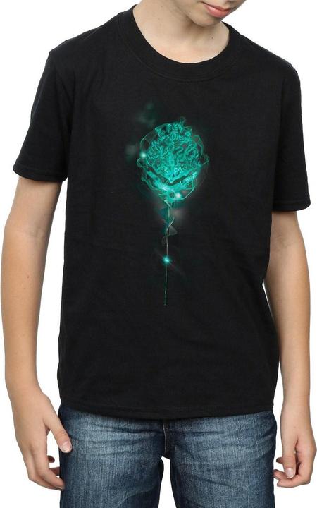 Immagine prodotto Hogwarts Crest Mist Maglietta Ragazzi (140, 146)