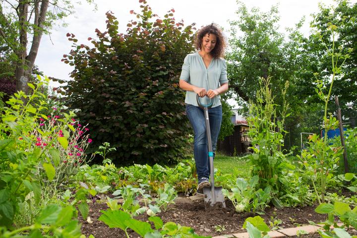 Image du produit Gardena Pelle à dames Ergo Line