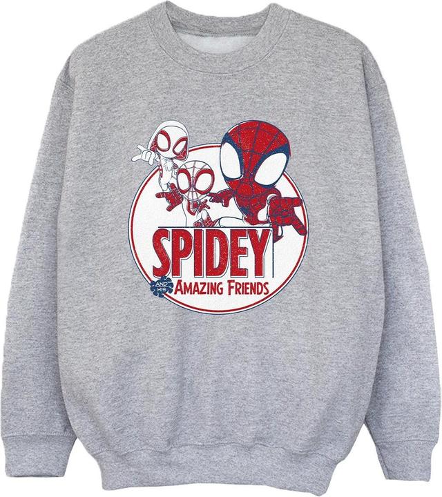 Spidey And His Amazing Friends Circle Sweatshirt Jungen