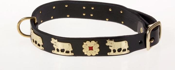Produktbild Jenni Hemden Appenzellerhundehalsband (Hund, Spazieren)