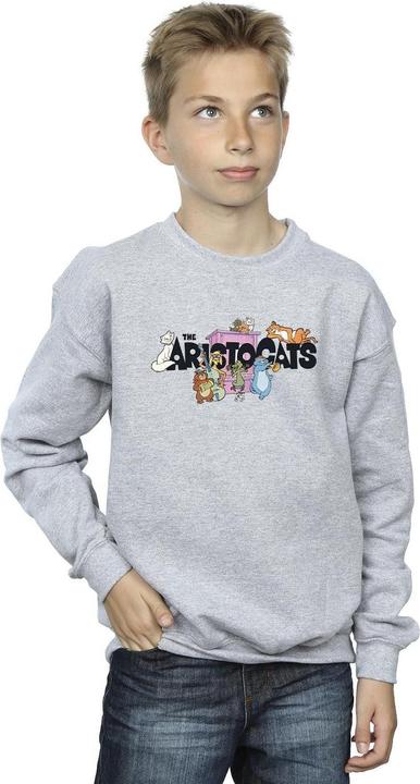 Immagine prodotto Disney The Aristocats Music Logo Felpa Ragazzi (152, 158)