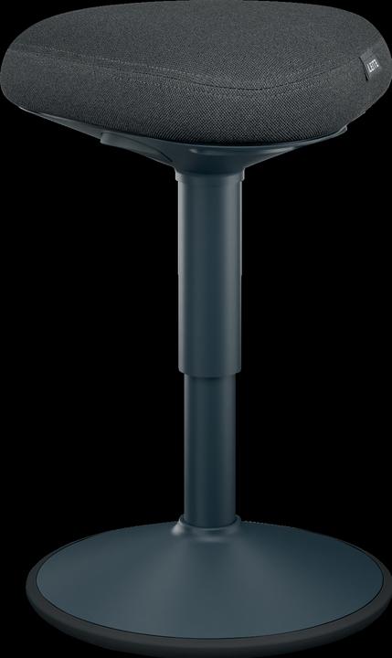 Actual product image Leitz Ergo Active
