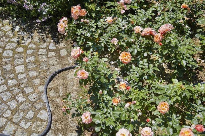 Image du produit Gardena Liano (30 m, 12.70 mm)